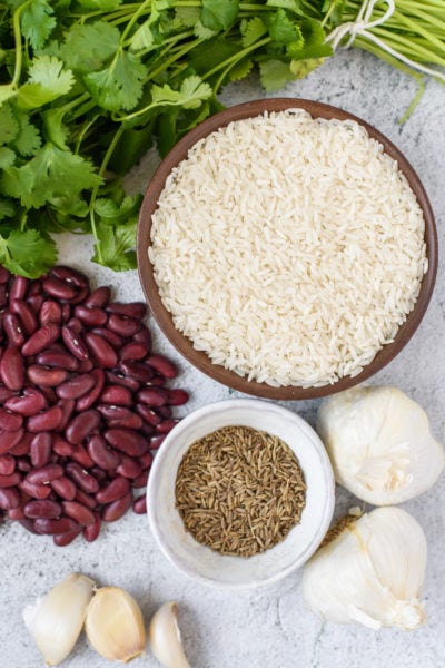 Latin Caribbean Cuisine Igredients: Beans, Rice, Cumin, Garlic, Cilantro