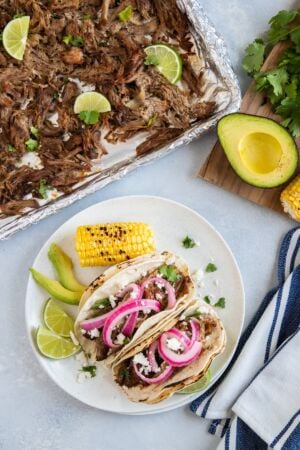 The pork carnitas served in two tortillas with red onion.